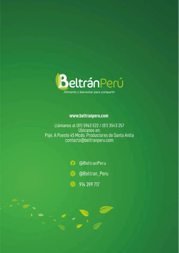 Catálogo web Beltrán slide 15